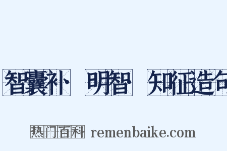 智囊补·明智·知征造句是什么意思的图片